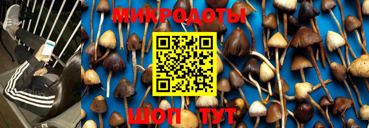 наркошоп  Псилоцибиновые грибы GOLDEN TEACHER  Вход с VPN  Искитим 